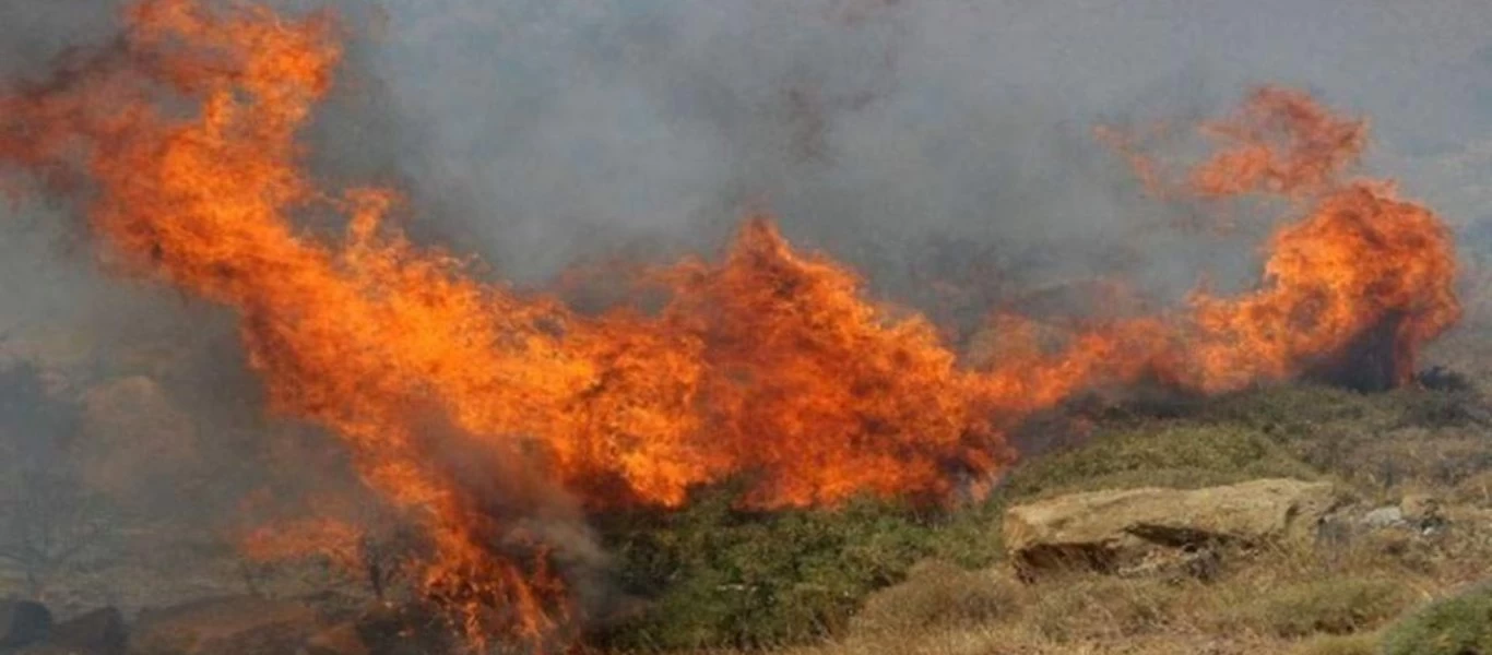 Ηλεία: Φωτιά σε δασική έκταση στο Γραμματικό